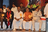 TSR Kakatiya Cultural Festival Photos